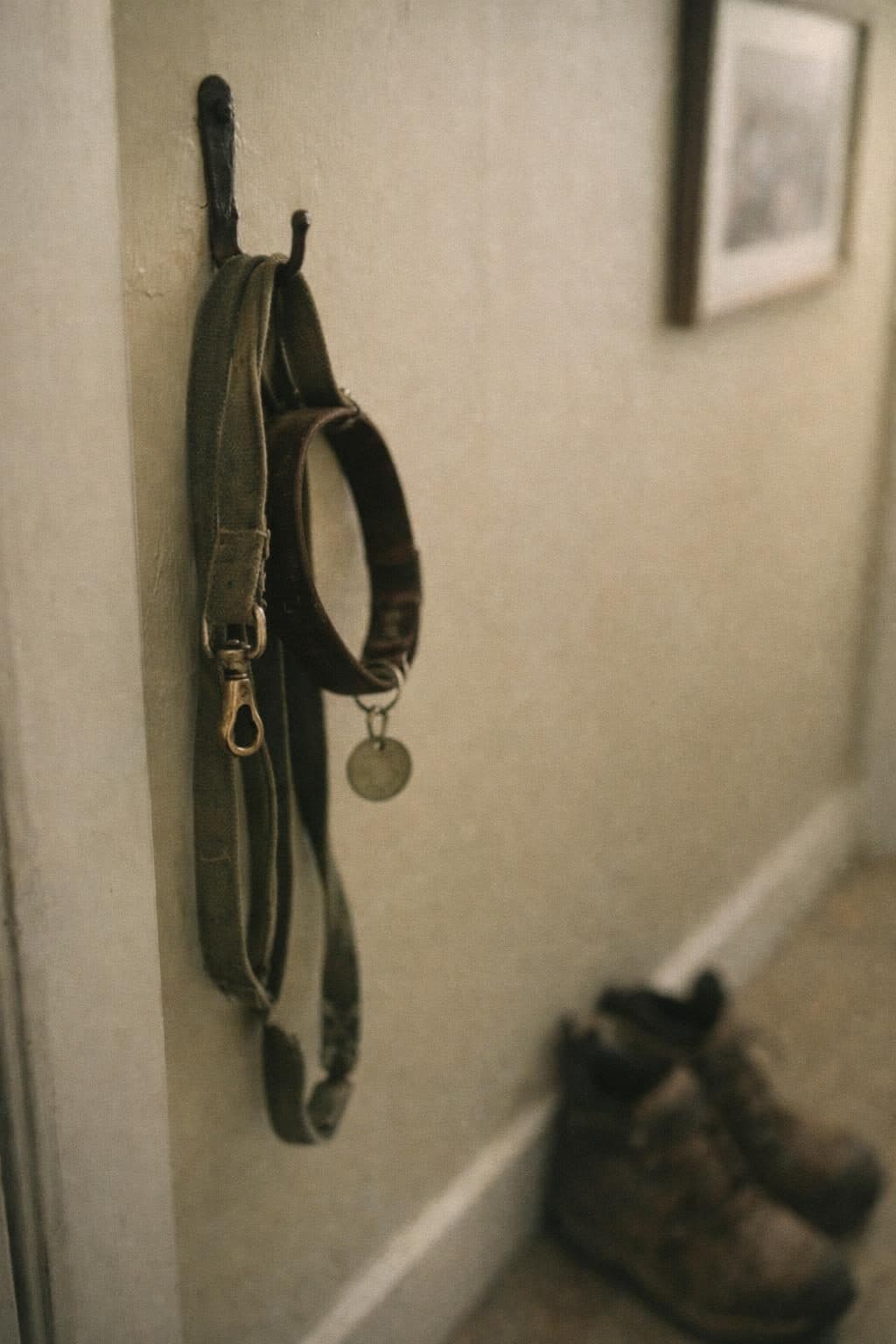A worn leash and collar hanging by the door with walking shoes below.